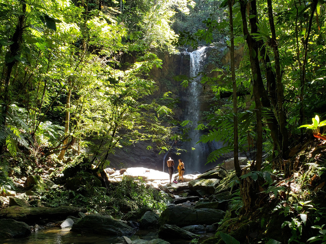 Avocat Waterfall-Blanchisseuse必去景点