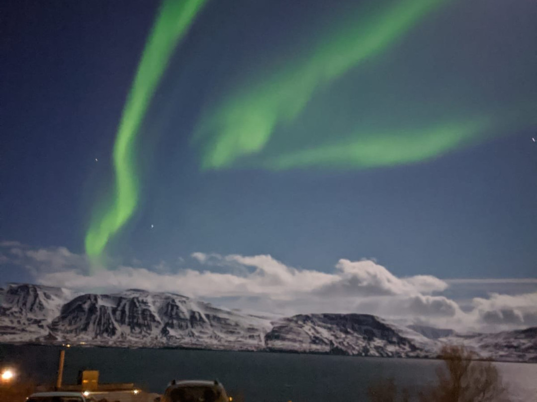 The Viking Country Club Guesthouse主图