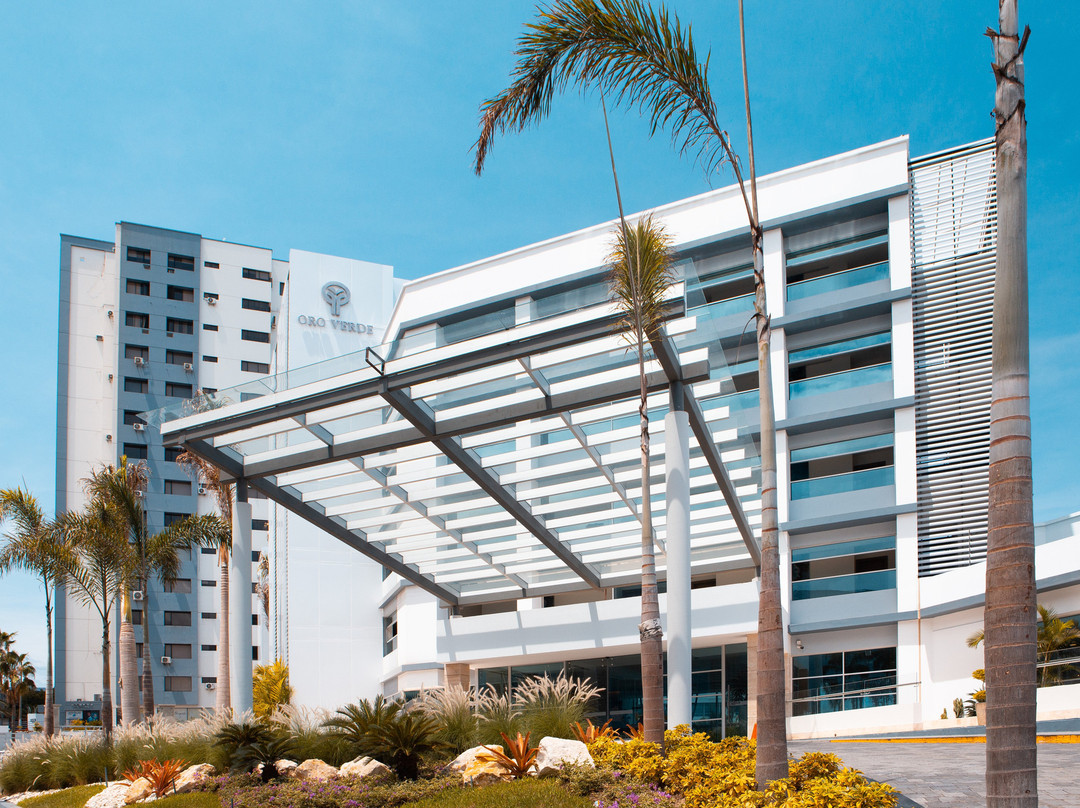 Oro Verde Manta主图