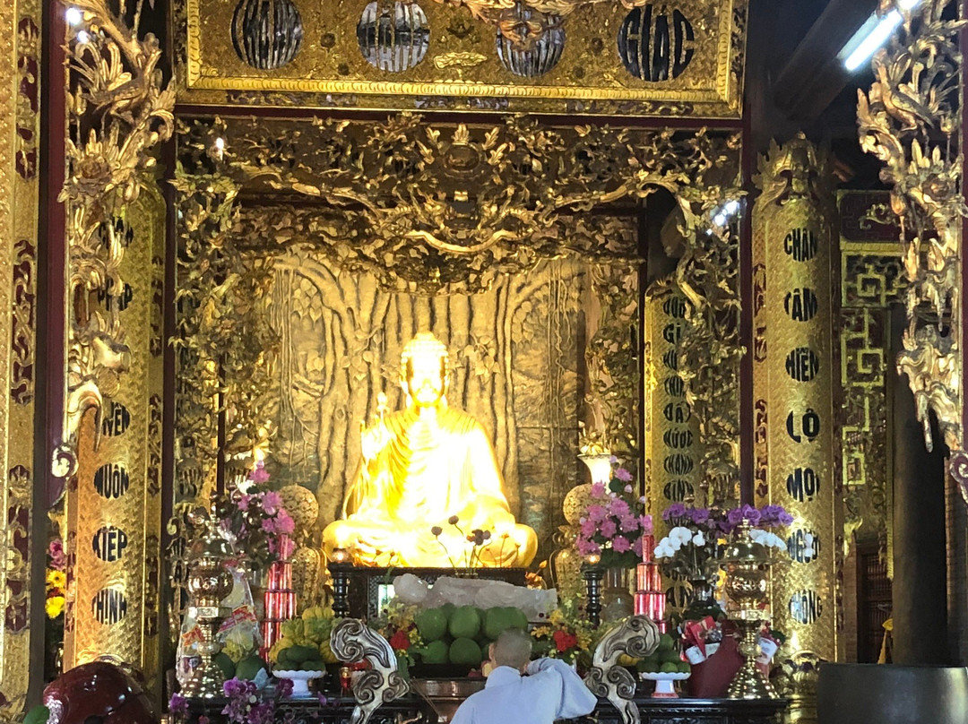 Cao Dai Temple-扬东必去景点