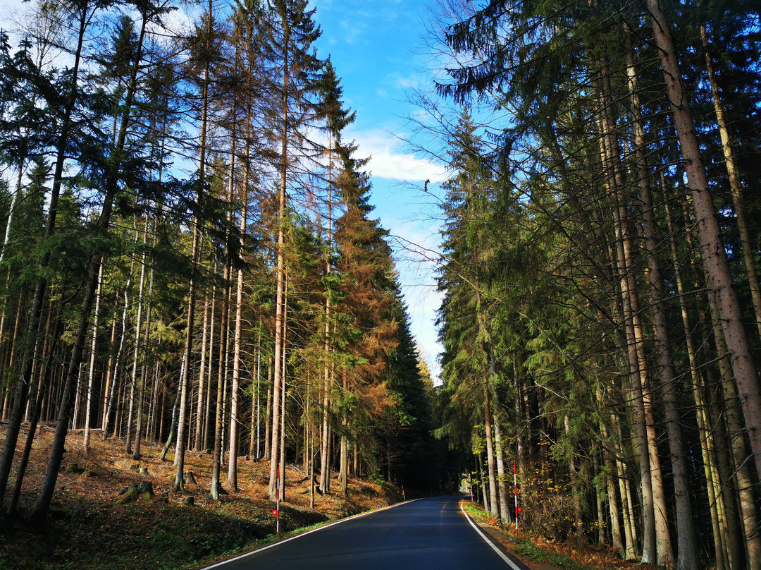 Šumava National Park-波西米亚必去景点
