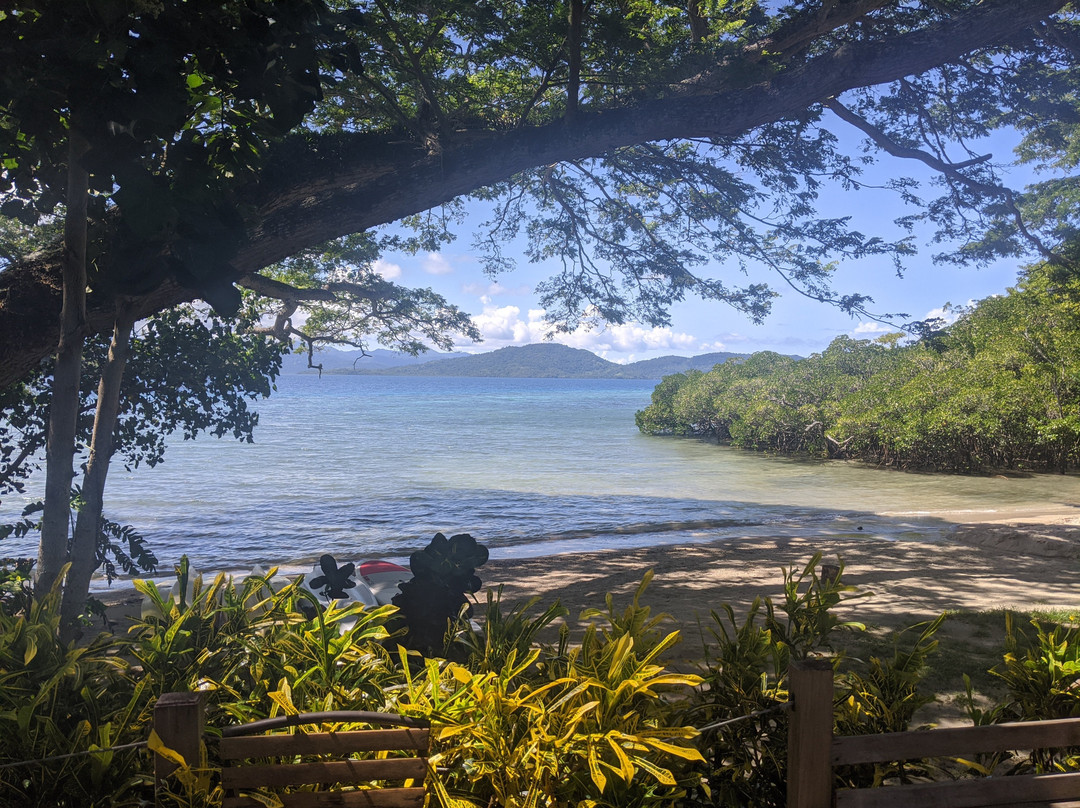 秀湾斐济力特酒店主图