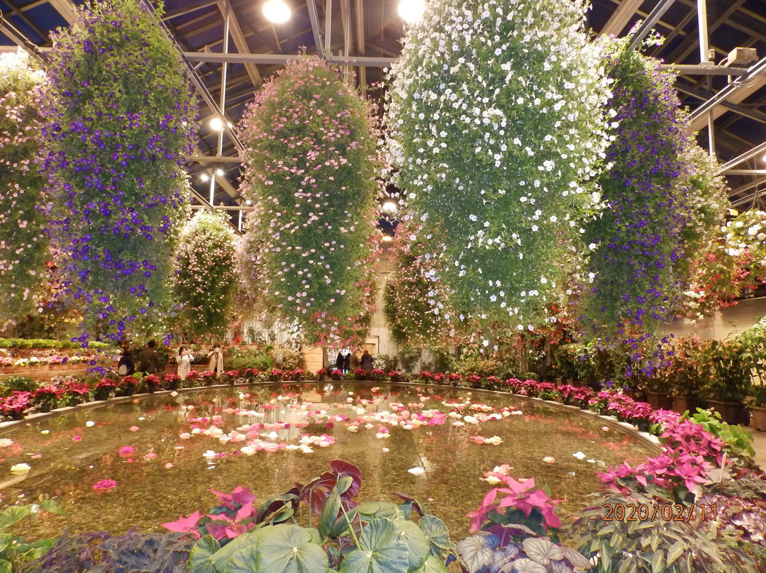 Begonia Garden-桑名市必去景点