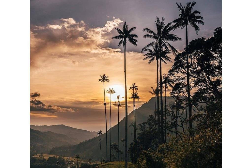 Quindio Tours-萨伦托必去景点