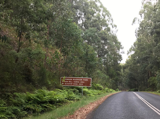 Thomson Picnic Area-Mount Baw Baw必去景点