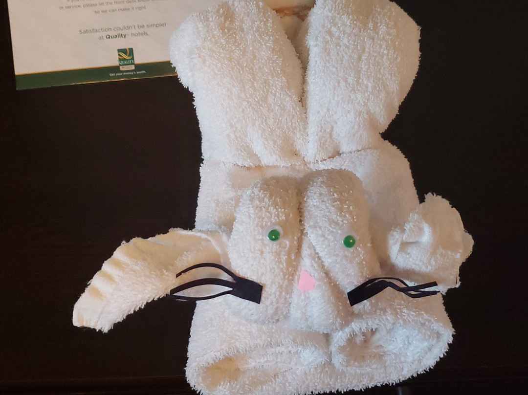 Chateau All Suites Hotel主图