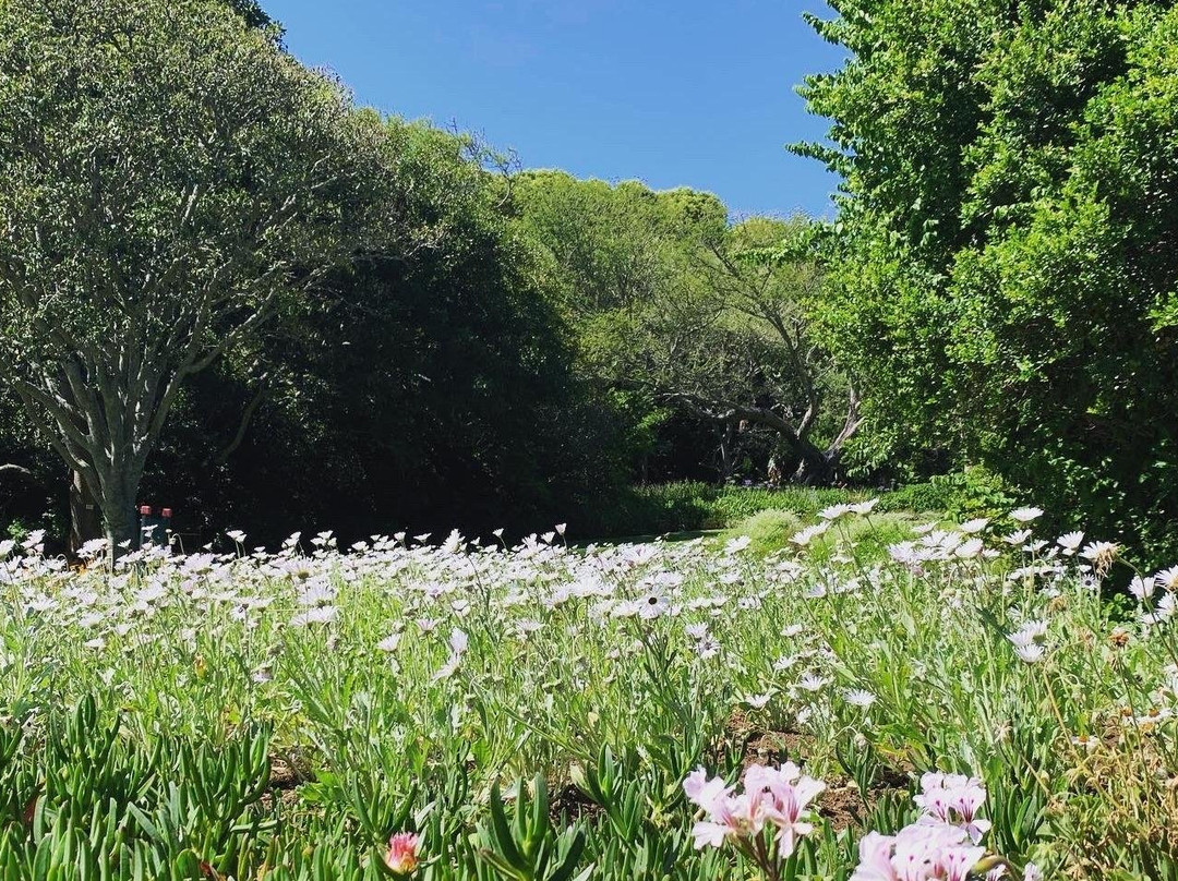 Boldman Travel-开普敦中心区必去景点