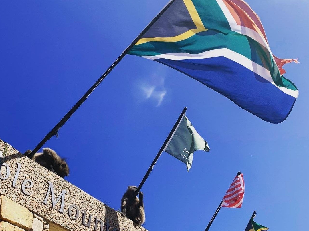 Boldman Travel-开普敦中心区必去景点