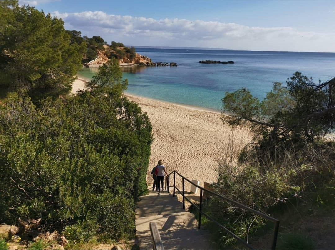 Platja De s'Oratori-波特努斯必去景点