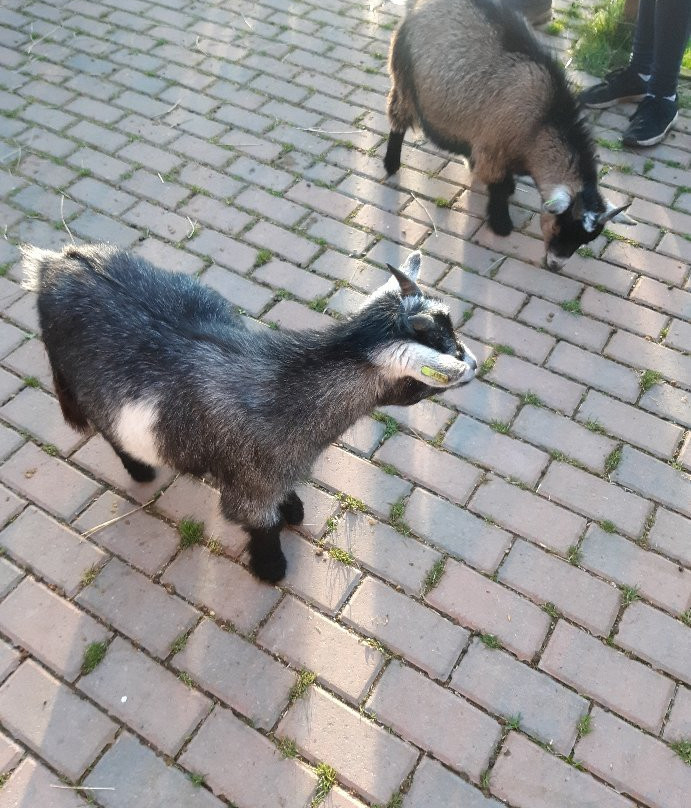 The Wonkey Donkey Visitors Centre景点图片