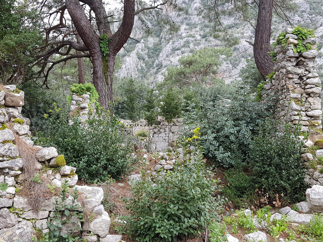 Olympos Archeological Site景点图片