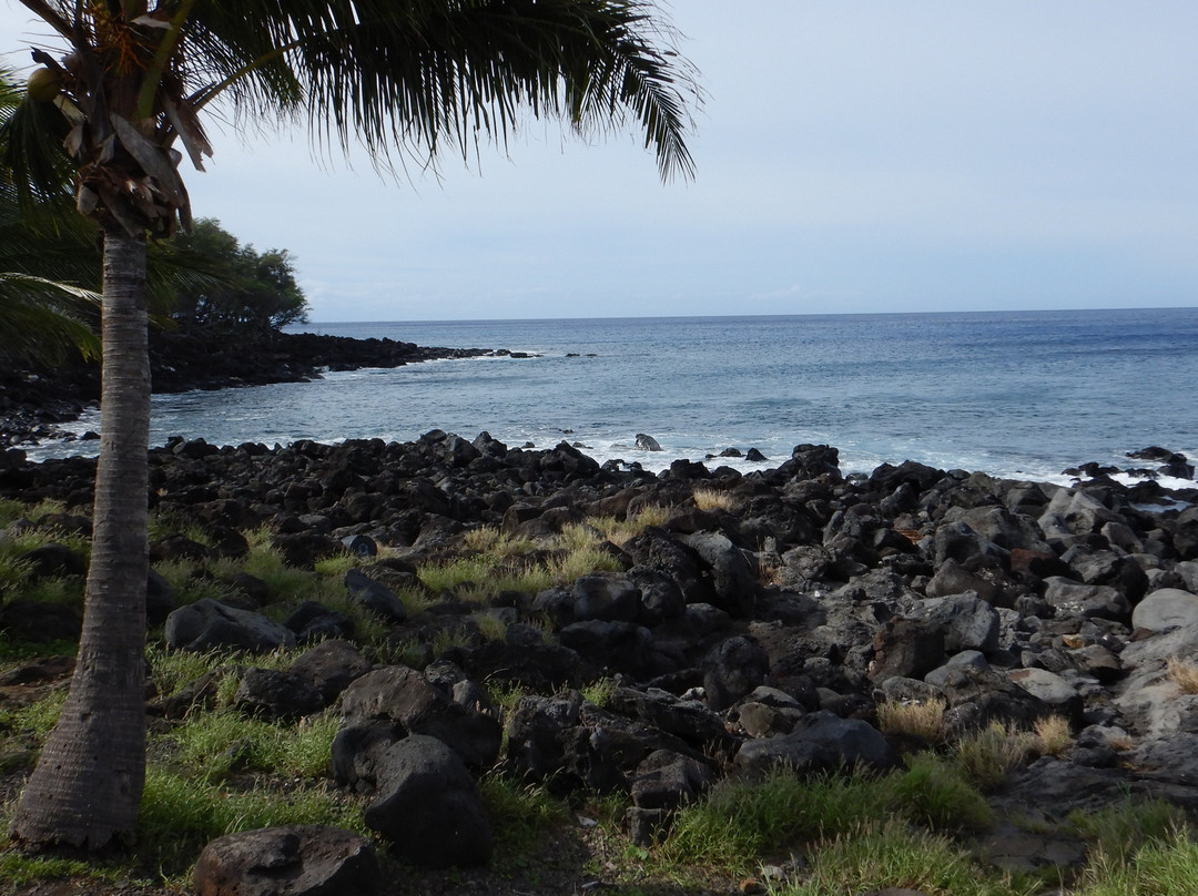 Kapa’a Beach Park景点图片