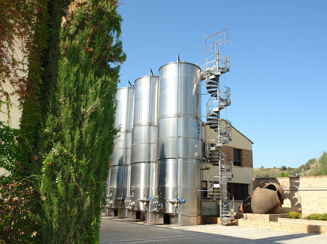 Bodega Pirineos景点图片