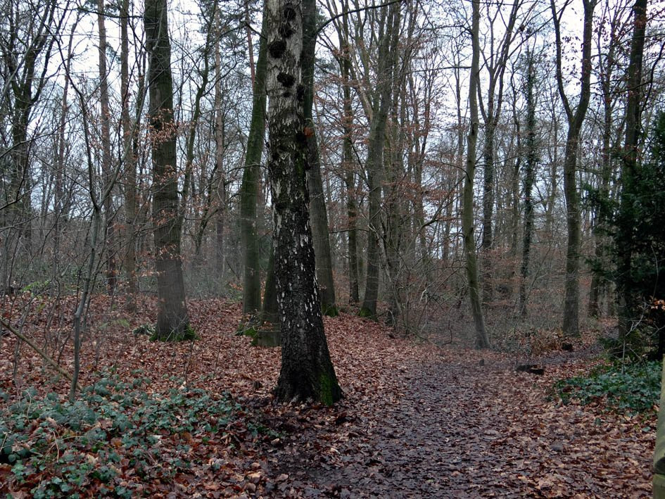 Reichswald-克莱韦县必去景点
