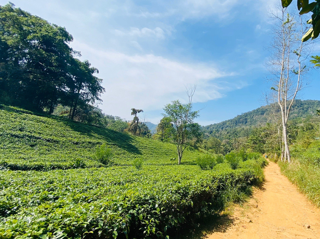 Srilanka by Hanka-希克杜沃必去景点