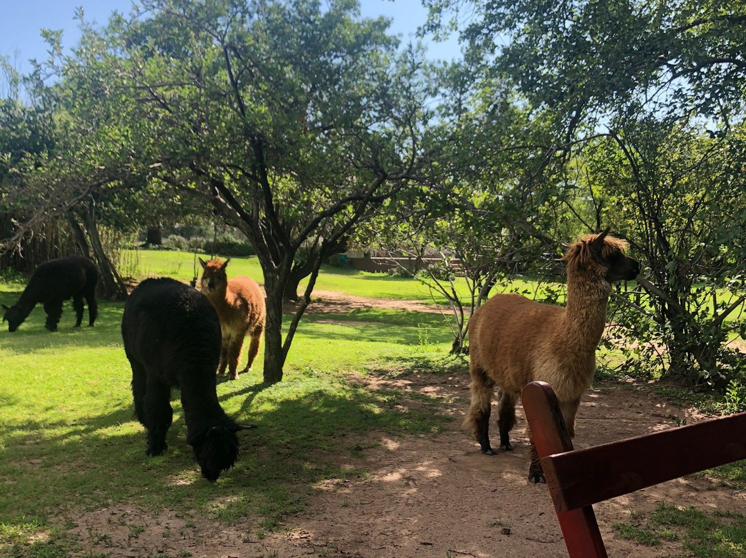 Comfrey Cottage主图