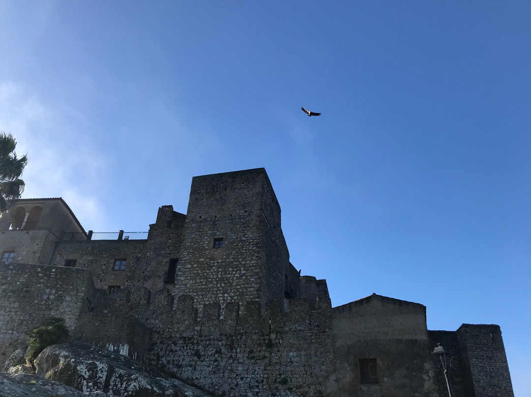 Hotel Castillo de Castellar主图