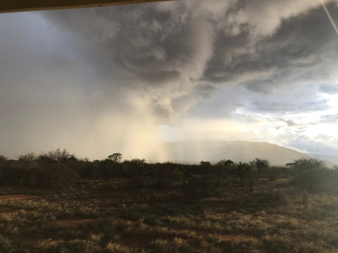 Ogutu Safari-马林地必去景点