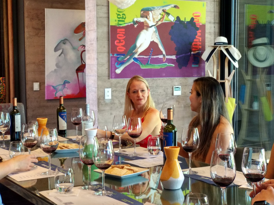 Solo Contigo Wines景点图片