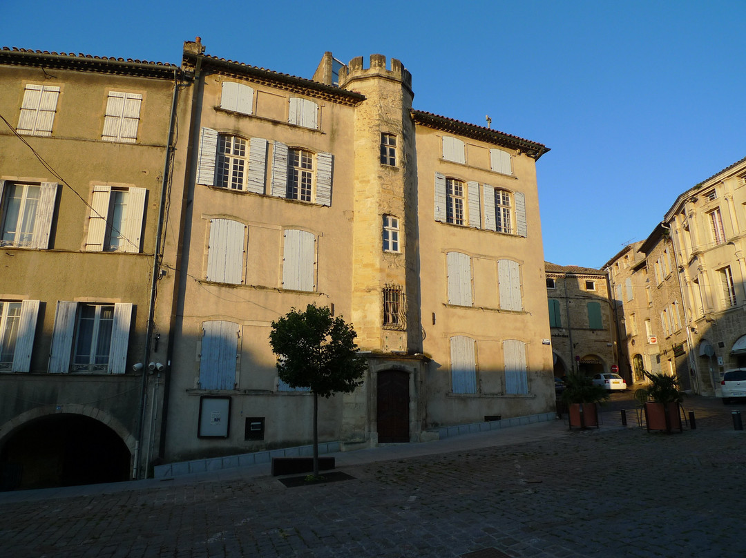 Musée Leon-Alègre景点图片
