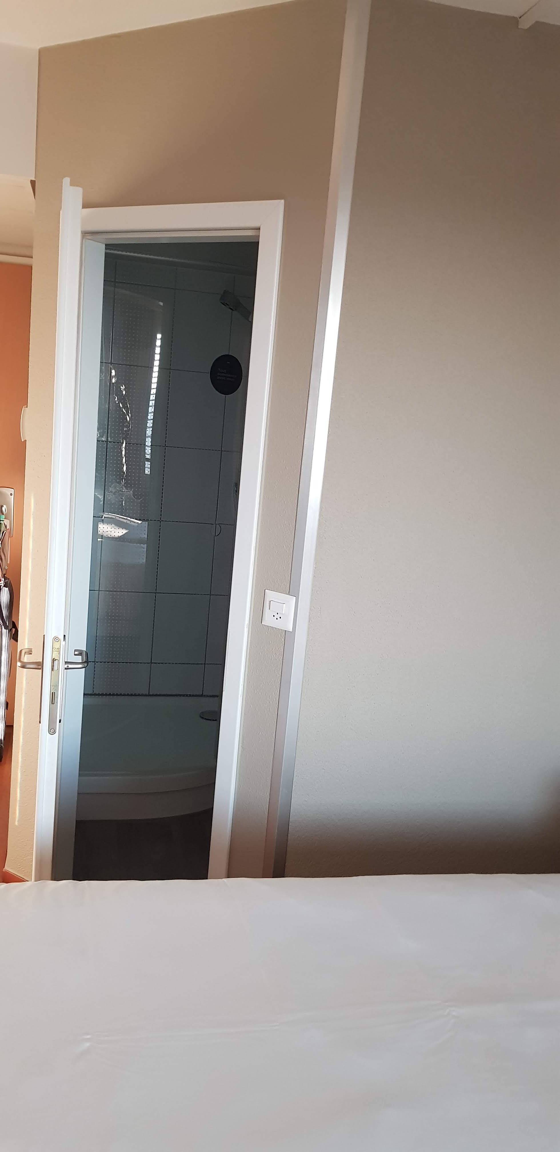 ibis Lausanne Crissier-酒店景观