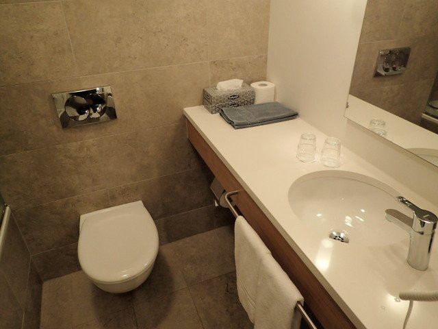 哈玛尔冰岛航空酒店主图