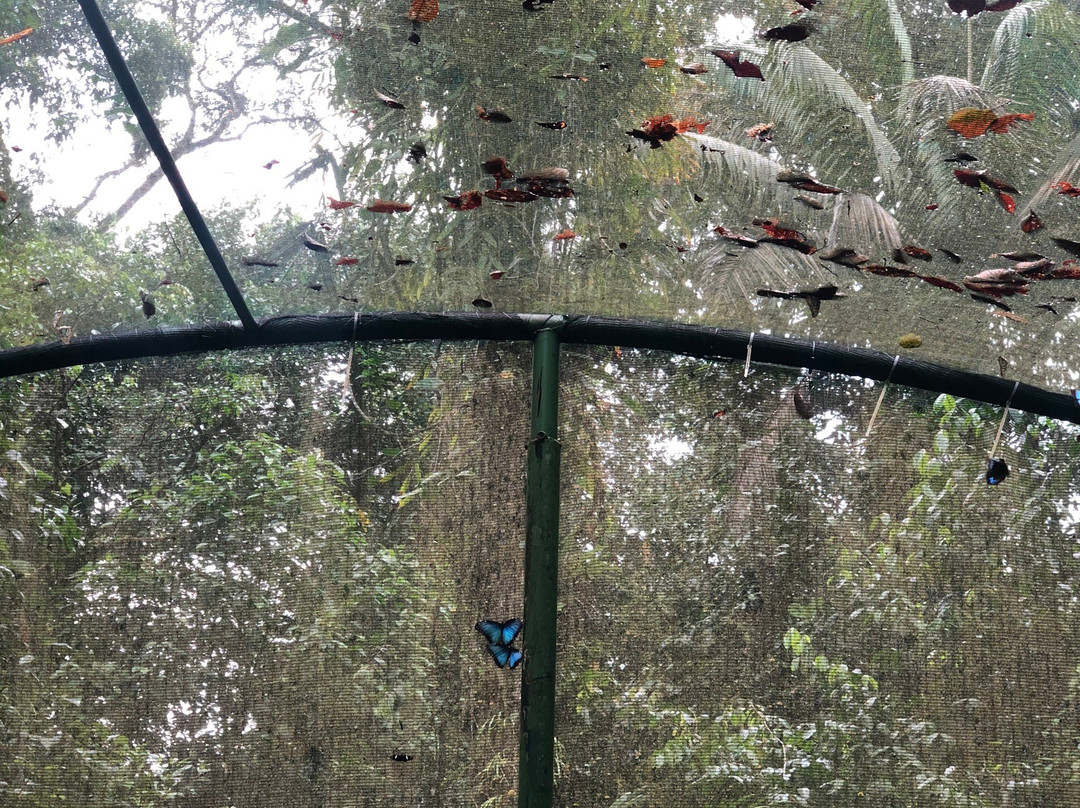 Braulio Carrillo National Park旅游攻略图片