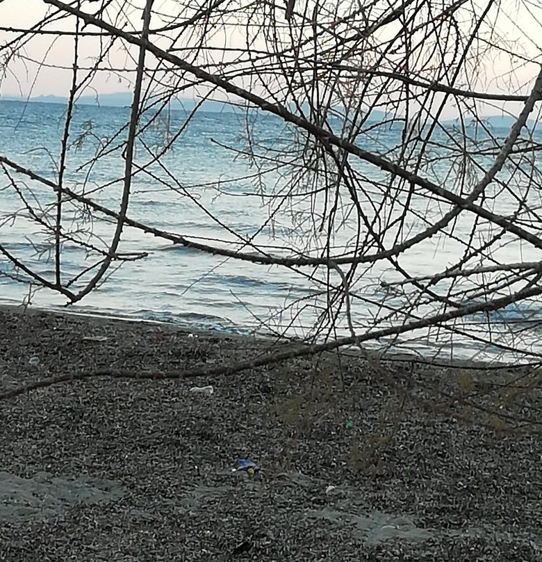 Kucukkuyu Halk Plajı-Kucukkuyu必去景点