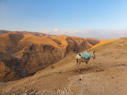 Bunksurfing Alternative Tours-伯利恒必去景点