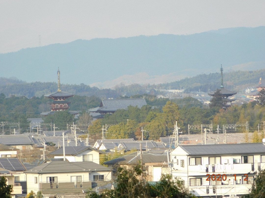 Koriyama Castle景点图片