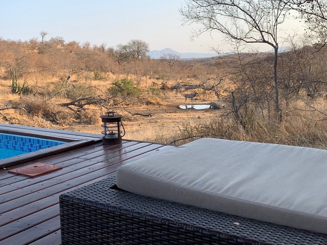 Ximongwe Safari Camp主图