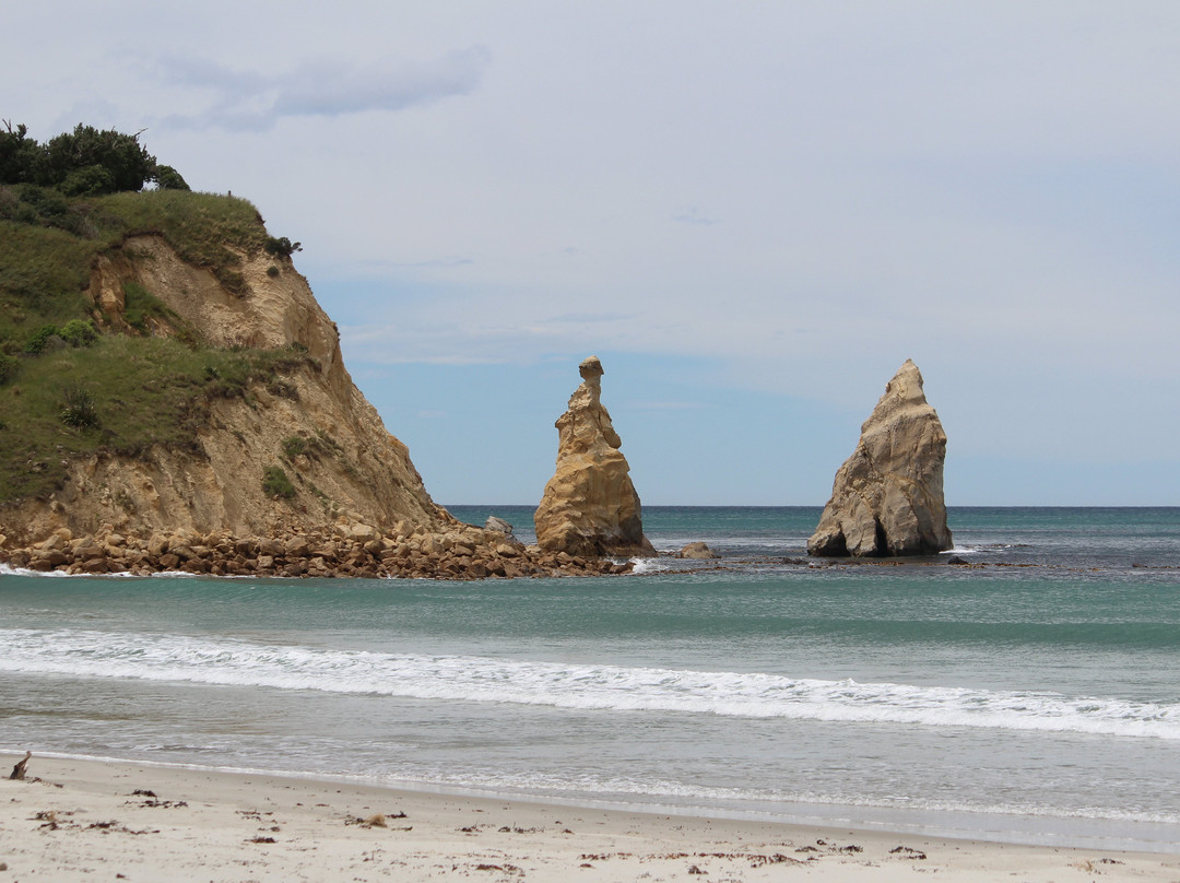 Huriawa Pa Walk景点图片