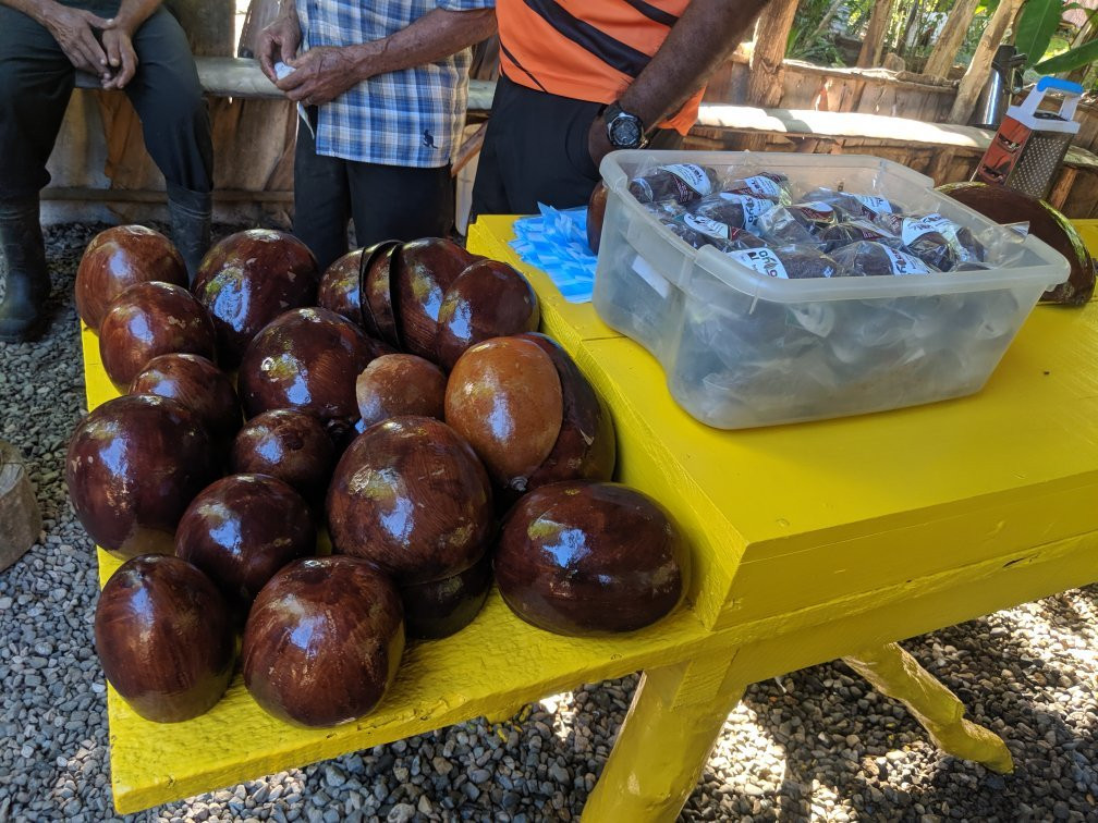 Outback Adventures-普拉塔港必去景点