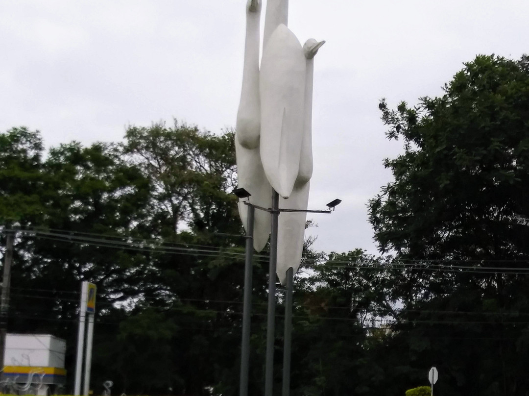 Catedral Santo Antônio-瓜拉廷格塔必去景点