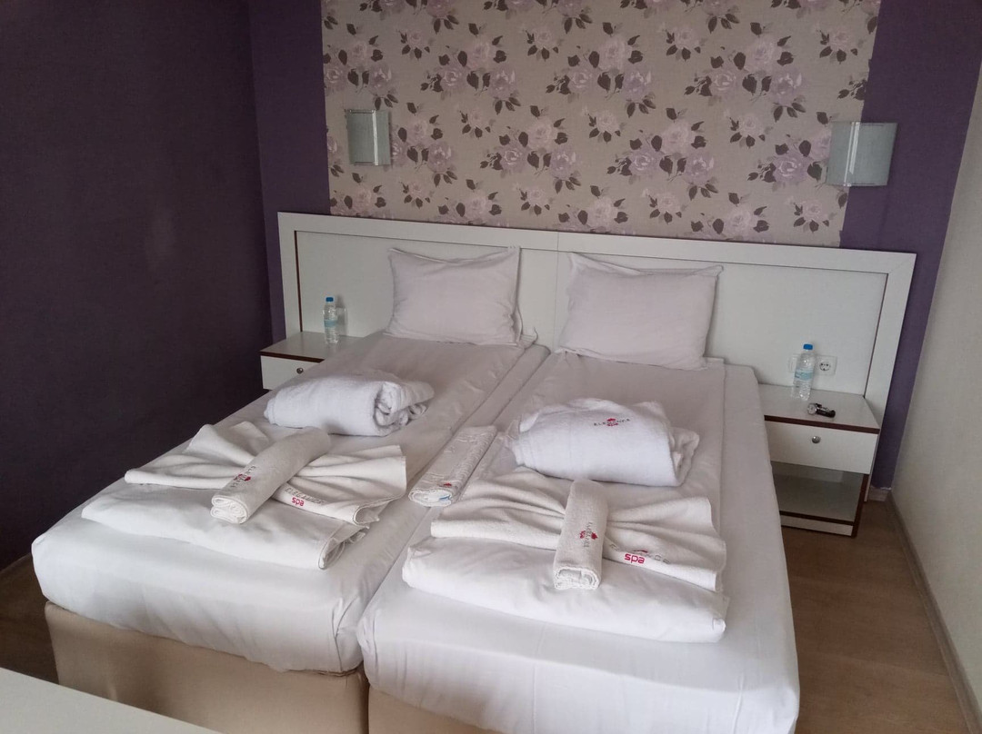 Elegance Spa Hotel主图