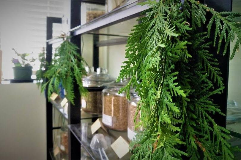 Niagara Medicinal Herbs-方特希尔必去景点