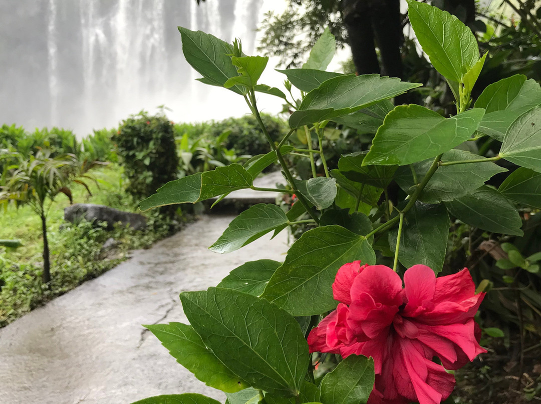 Salto de Eyipantla景点图片