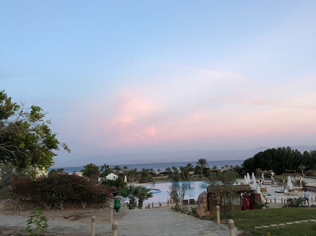 Dessole Holiday Taba Resort主图