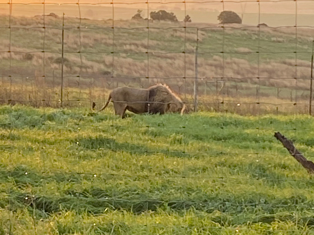 Tweeling旅游攻略图片