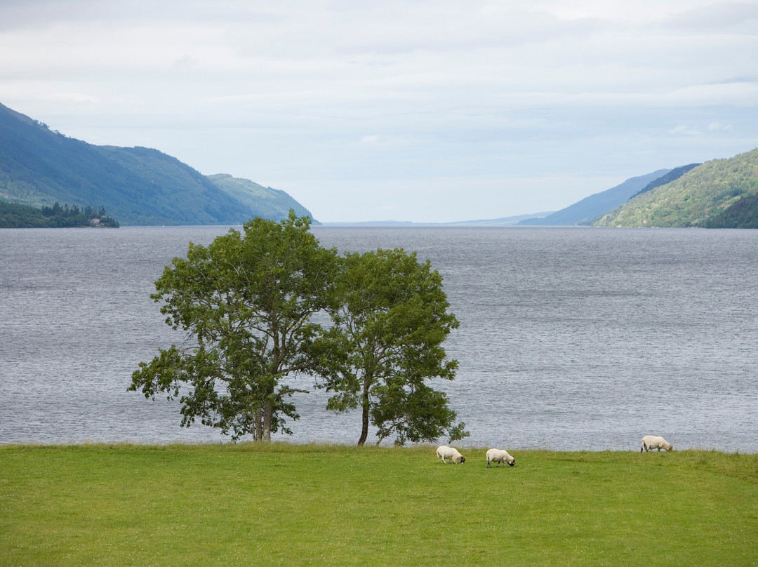 South Loch Ness Trail景点图片