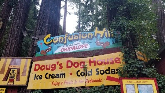 Confusion Hill Gravity House景点图片