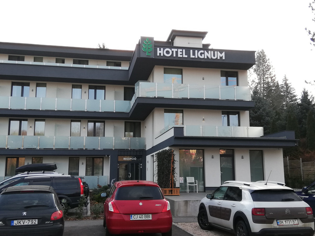 Lignum Hotel主图
