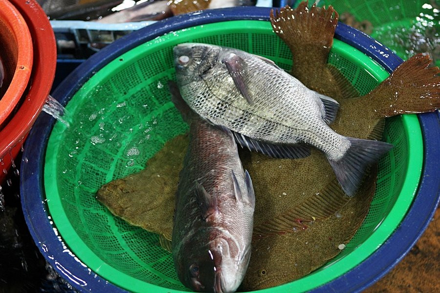 Suhyup Susanmul Center-高兴郡必去景点