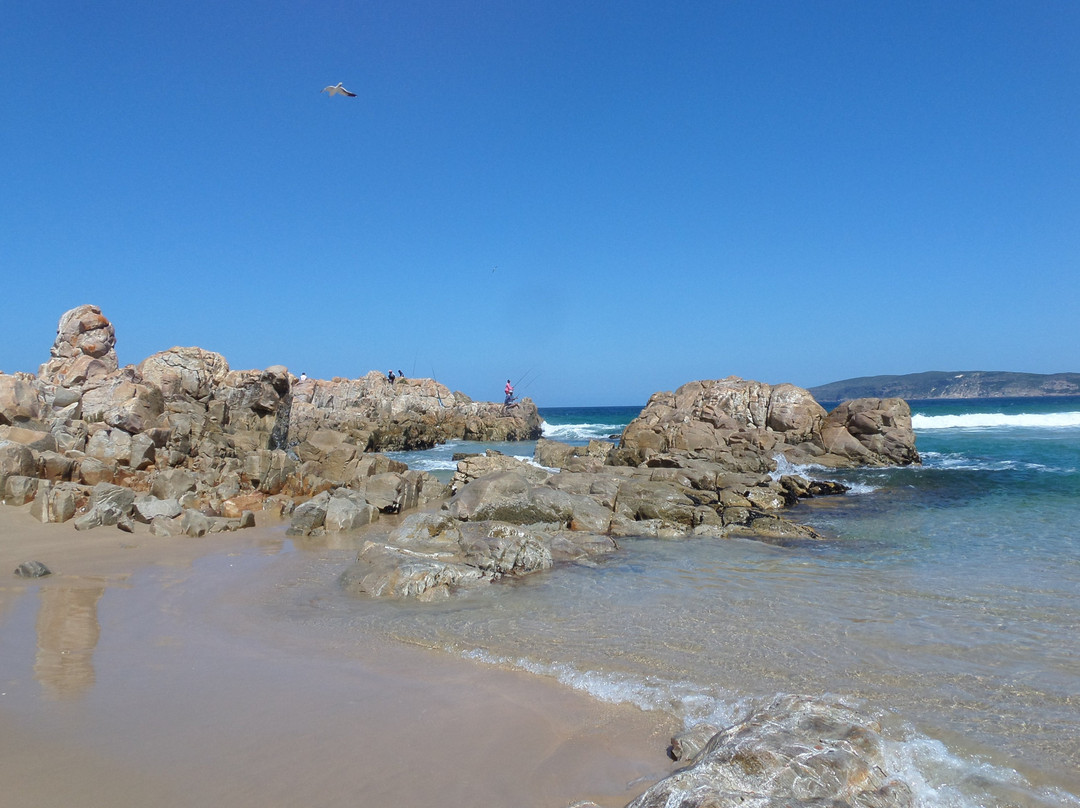 Plettenberg Beach景点图片