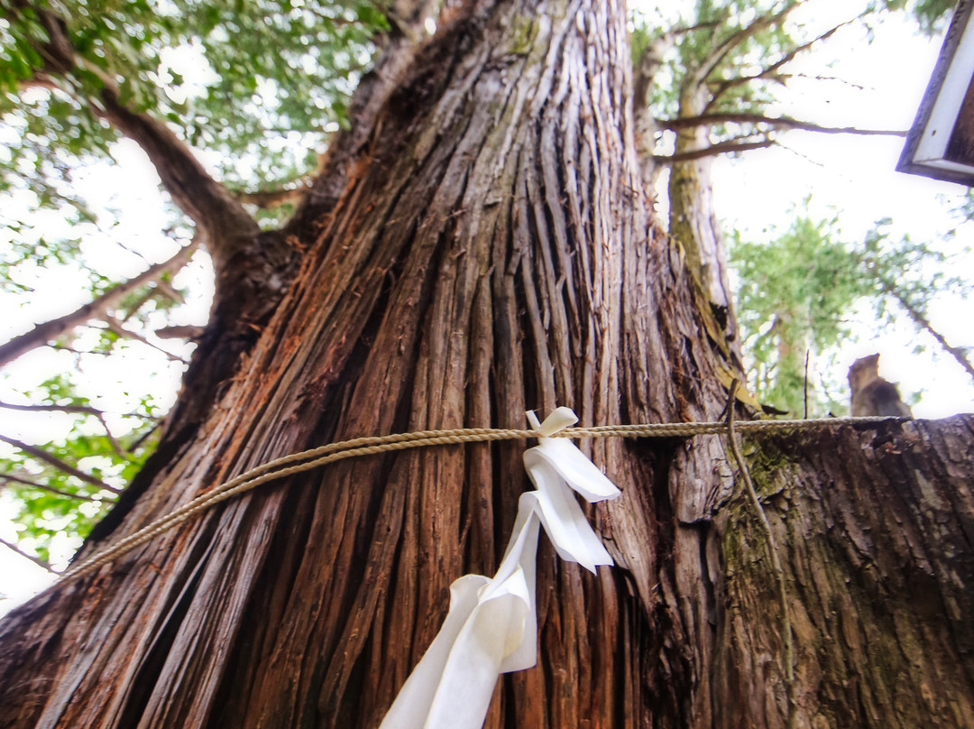 Hagihiyoshi Shrine-都几川町必去景点
