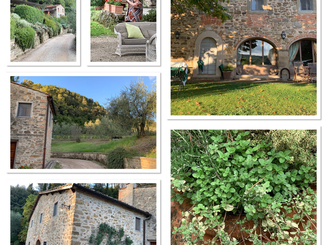 Fattoria di Petroio景点图片