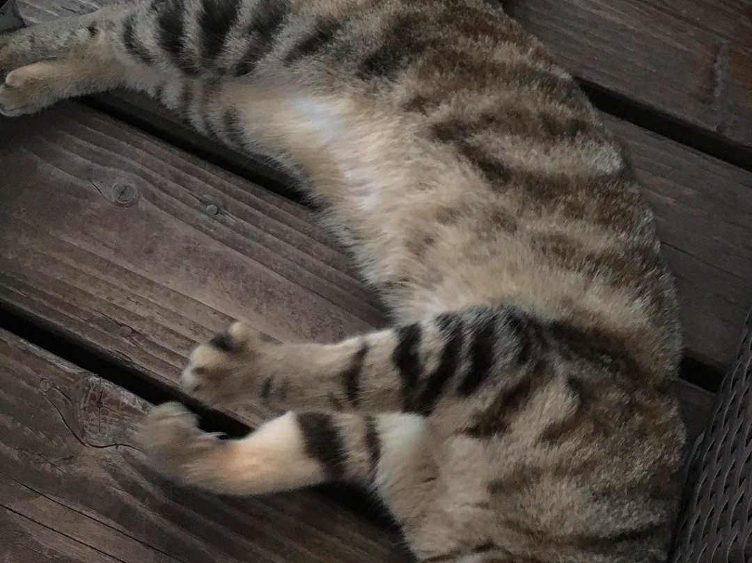 普金伊别墅主图