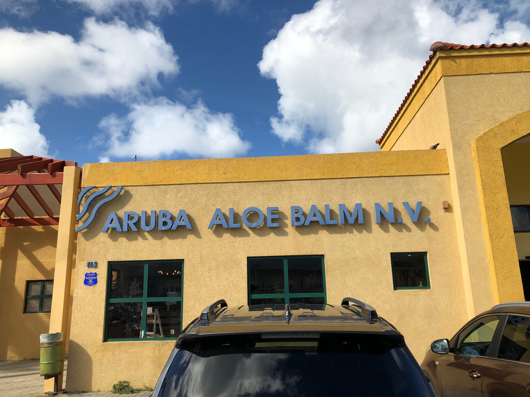 Aruba Aloe Factory, Museum and Store景点图片