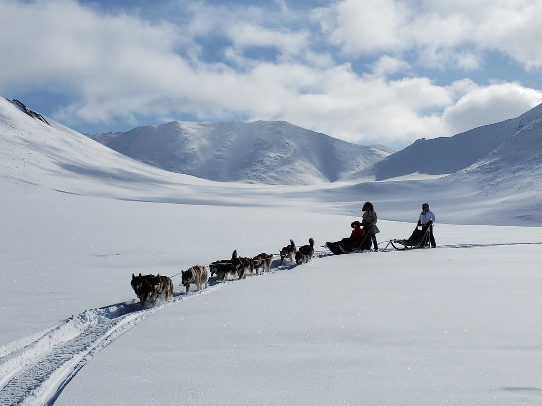 Alaska Homestead Adventures景点图片