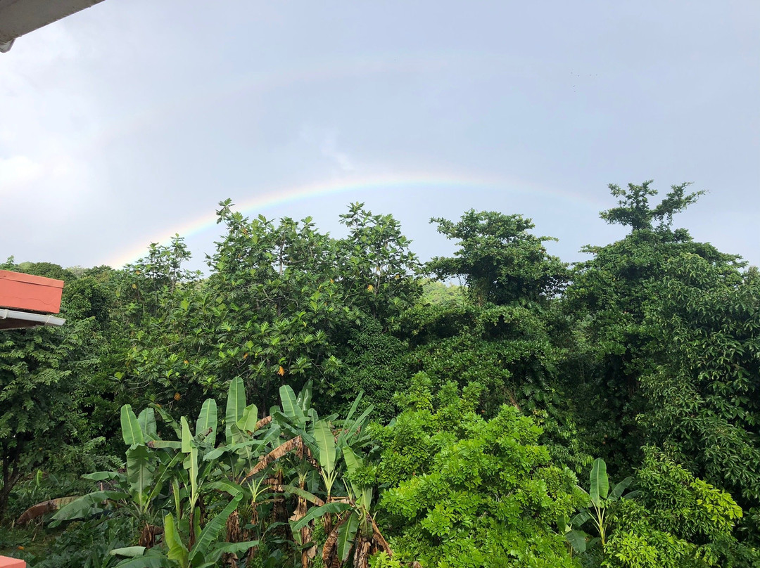 Polish Princess Guest House主图